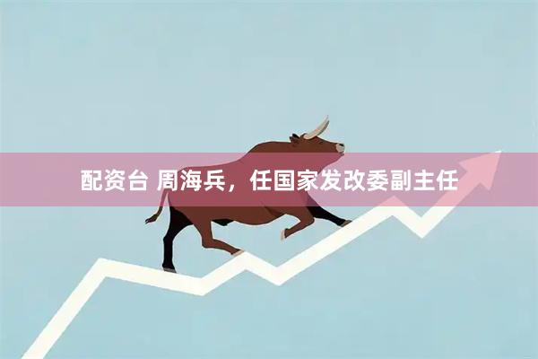 配资台 周海兵，任国家发改委副主任
