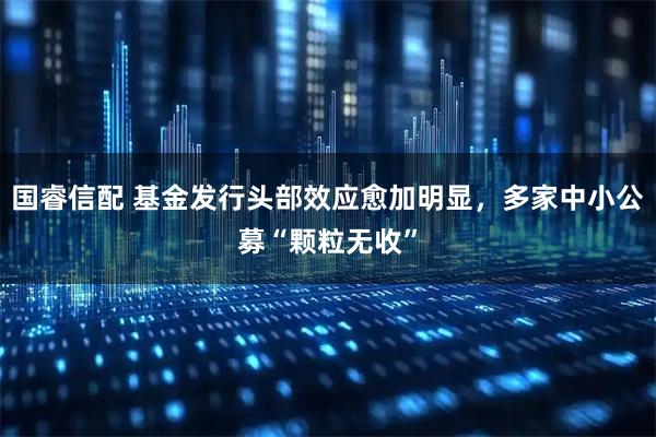 国睿信配 基金发行头部效应愈加明显，多家中小公募“颗粒无收”
