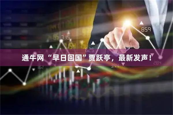 通牛网 “早日回国”贾跃亭，最新发声！
