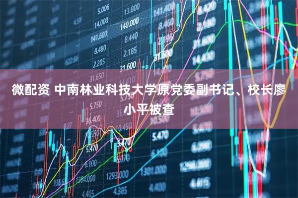 微配资 中南林业科技大学原党委副书记、校长廖小平被查