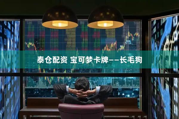 泰仓配资 宝可梦卡牌——长毛狗