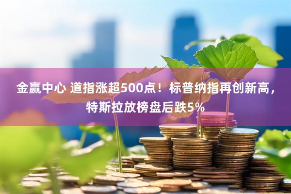 金赢中心 道指涨超500点！标普纳指再创新高，特斯拉放榜盘后跌5%